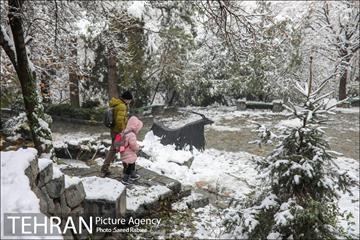 برف زمستانی پارک جمشیدیه 20