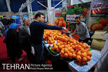 یازدهمین نمایشگاه محصولات غذایی ارگانیک 1