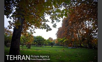 طبیعت پاییزی بوستان لاله 18