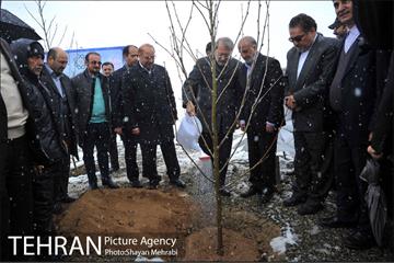 مراسم روز درختکاری با حضور شهردار تهران و رئیس مجلس 26