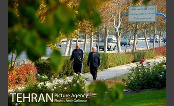 شهرک لاله 13