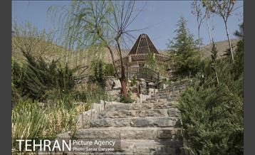 آبشار تهران 8