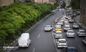 بی قانونی؛ تخلف جناغی 19