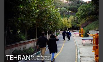 بوستان نهج البلاغه (فاز١) 26