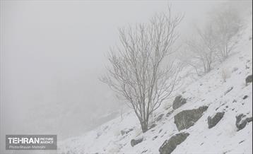 بارش برف زمستانی در تهران 11