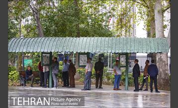 بارش نخستین باران پاییزی در تهران 5