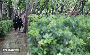 به وقت اردیبهشت؛ باغ ایرانی 12