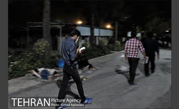 شب قدر از هزار ماه برتر است 29