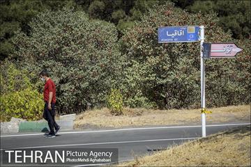 بوستان سرخه حصار 20