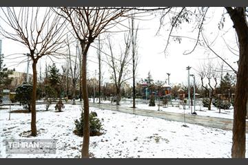روز برفی در منطقه 8 25