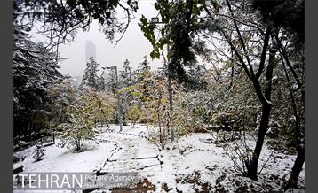 بارش برف پاییزی در بوستان طالقانی 17