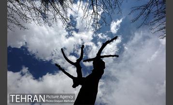 هوای پاک تهران 8