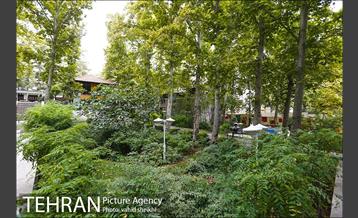 بوستان شطرنج 9