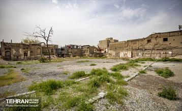 تاریخ رها شده؛ پـامنار 31