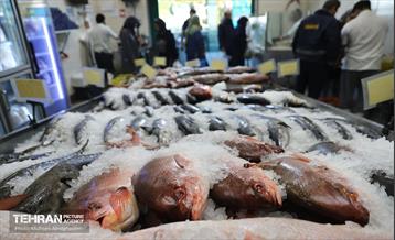 تره‌بار یلدایی 36