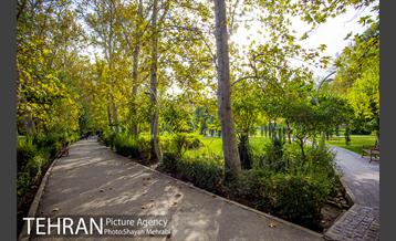 پاییز بوستان لاله 25