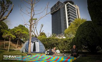 روز طبیعت در پارک ساعی و حاشیه اتوبان مدرس  12