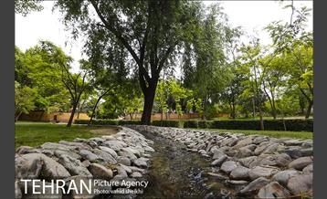 بوستان پلیس 8