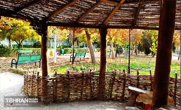 گذر پاییزی بوستان رازی 11