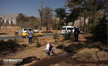 بازدید اصحاب رسانه از روند انجام عملیات احیای چیتگر 44