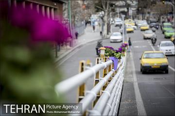 استقبال از بهار در خیابانهای تهران 14