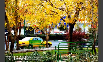 بوستان پارسیان 13