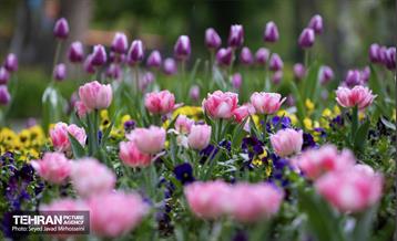 تیتر هوای بهاری تهران 21