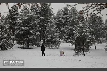 روز برفی تهران - 2 33