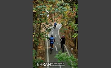 پارک جنگلی چیتگر 34