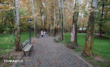 طبیعت پاییزی مجموعه فرهنگی تاریخی سعدآباد  9