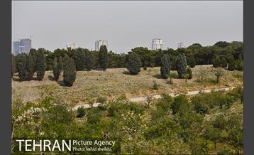 پارک چیتگر 11