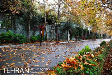 پاییز در بوستان رازی 6