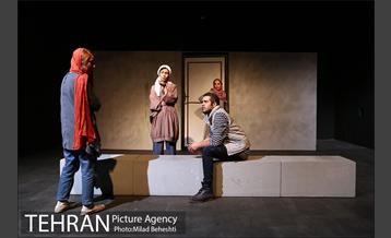 نمایش پروانه الجزایری 12