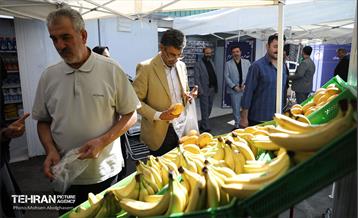افتتاح ۲ بازار میوه و تره‌بار در تهران 9
