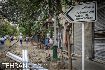 باز پیرایی خیابان 50 ساله 30