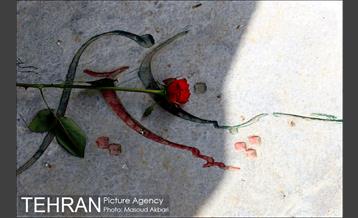 روزهای ابتدایی سال جدید در بهشت زهرا(س) 20