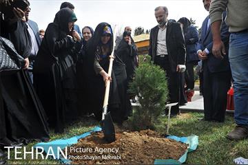 مراسم درختکاری به مناسبت روز مادر 46