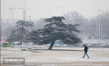 بارش برف در تهران 32