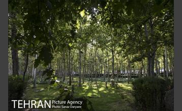 بوستان فدک‎ 21