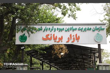 صد و سی و نهمین پویش امید و افتخار 17