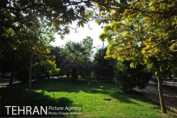 بوستان هنرمندان (ایرانشهر) 9