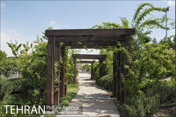 بوستان آزادگان 28