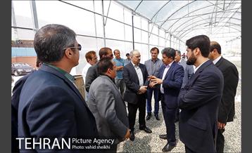 بازدید مدیر کل دفتر شهردار تهران از منطقه 21 30