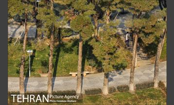 روزهای آفتابی زمستان 23