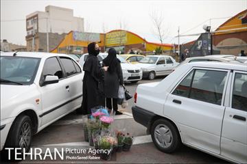 بازار گل و گیاه غرب تهران در آستانه نوروز 18