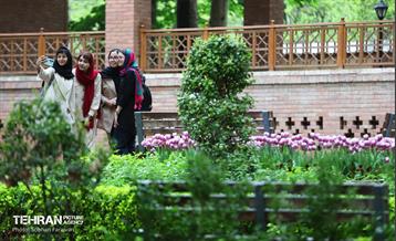 لاله‌ها میهمان باغ ایرانی 15