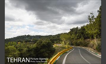 بوستان جنگلی لویزان 28