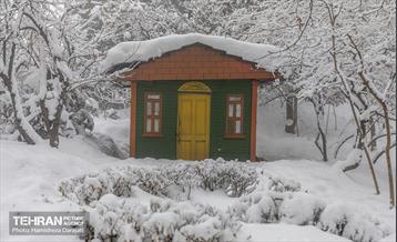روایت مه‌و‌برف در بوستان سنگی تهران  6