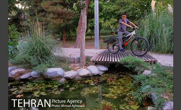 بوستان سهند 14