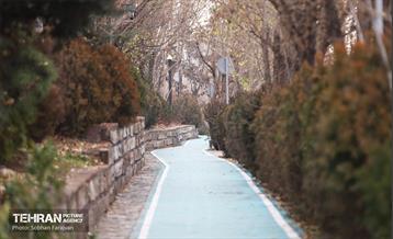 به وقت خدمت؛ مسیر زندگی 41